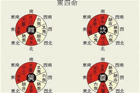 西四命住東四宅如何化解|“风水大师——”东四宅、西四宅与东四命、西四命吉凶如何匹配!